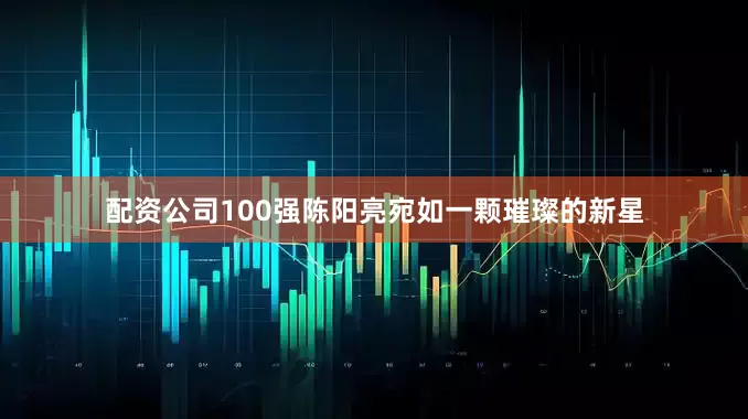 配资公司100强陈阳亮宛如一颗璀璨的新星