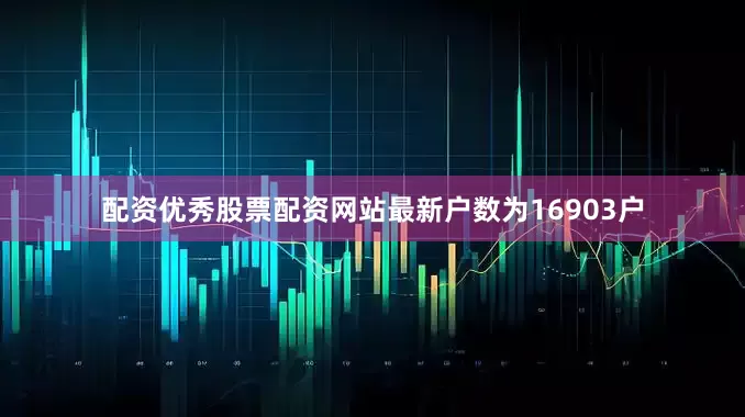 配资优秀股票配资网站最新户数为16903户