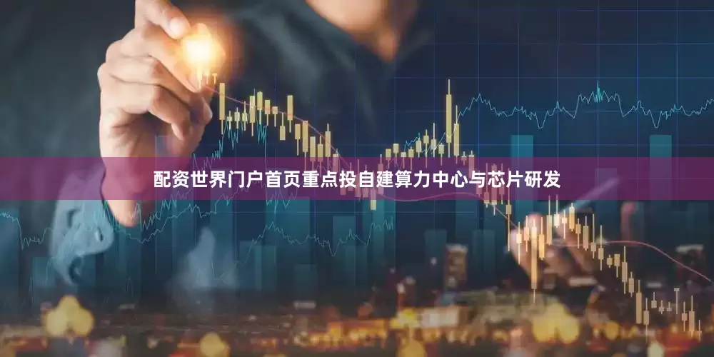 配资世界门户首页重点投自建算力中心与芯片研发