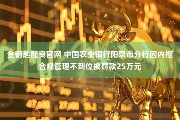 金钥匙配资官网 中国农业银行阳泉市分行因内控合规管理不到位被罚款25万元