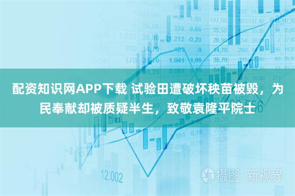 配资知识网APP下载 试验田遭破坏秧苗被毁，为民奉献却被质疑半生，致敬袁隆平院士