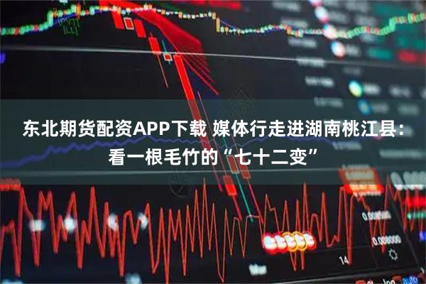 东北期货配资APP下载 媒体行走进湖南桃江县：看一根毛竹的“七十二变”
